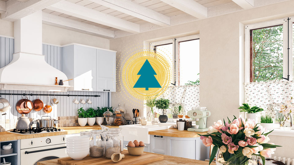 Photo of sunny contemporary cottage kitchen, Blue Spruce Painting Logo Symbol in center