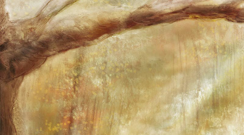 Closeup of art, painterly textures of willow tree branch, golden sunlit forest in the background.